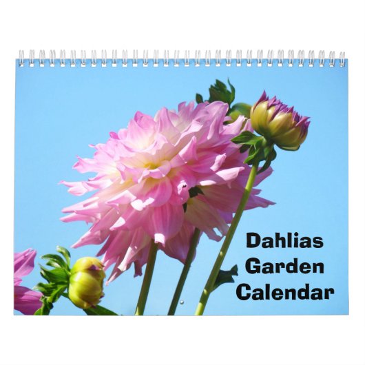 Dahlias Calendrier Jardin Photographie Fleurs (Protection)