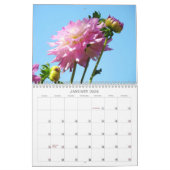 Dahlias Calendrier Jardin Photographie Fleurs (Jan 2026)