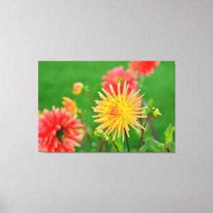 Dahlias Canvas Afdruk