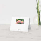 DAHLIAS ROSES ET JAUNES / CARTE "COMMENT ALLEZ-VOU (Dos)