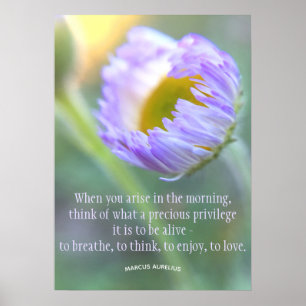 Daily Gratitude Inspirerend Quote Floral Poster