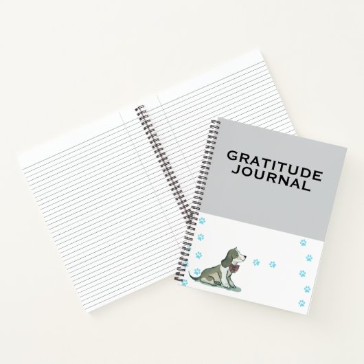 Daily Gratitude Journal | Mindful Reflection (Intérieur)