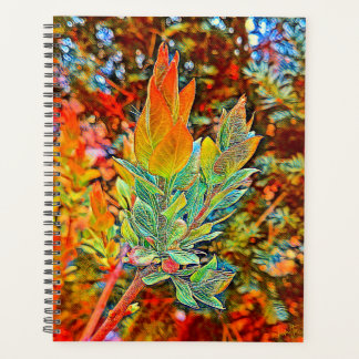 Daily-Hoesje voor harde schijven Planner