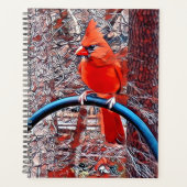 Daily-Hoesje voor harde schijven Planner (Voorkant)