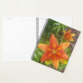 Daily Planner (Display)