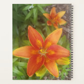 Daily Planner (Achterkant)