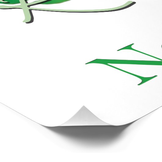 Daintree Rainforest Perfect Poster (Hoek)