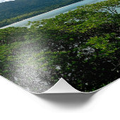 Daintree regenwoud op Cape Tribulation Foto Afdruk (Hoek)