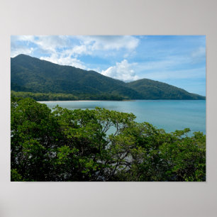 Daintree regenwoud op Cape Tribulation Poster