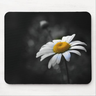 Dainty Daisy Muismat