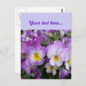 Dainty Violas Briefkaart (Voorkant / Achterkant)