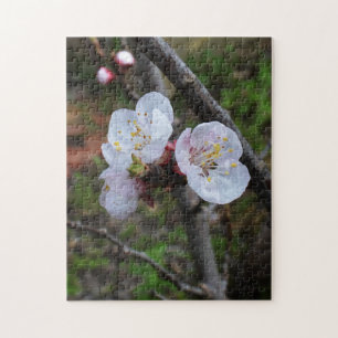 Dainty White Blossoms, puzzle