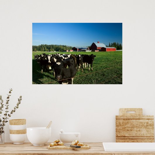 Dairy Cattle and Red Barn Print (Keuken)