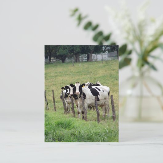 Dairy Cattle Briefkaart (Staand voorkant)