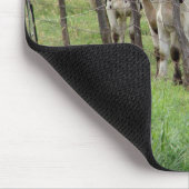 Dairy Cattle Muismat (Hoek)