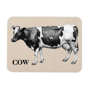 Dairy Cow Magneet