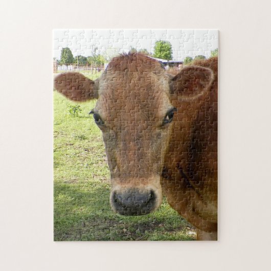 Dairy Expert - Puzzle (Vertical)