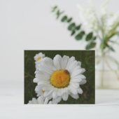 Daisées avec Ladybug do-it-yourself carte postale (Debout devant)
