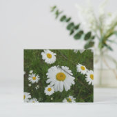 Daisées & Damselfly do-it-yourself carte postale (Debout devant)