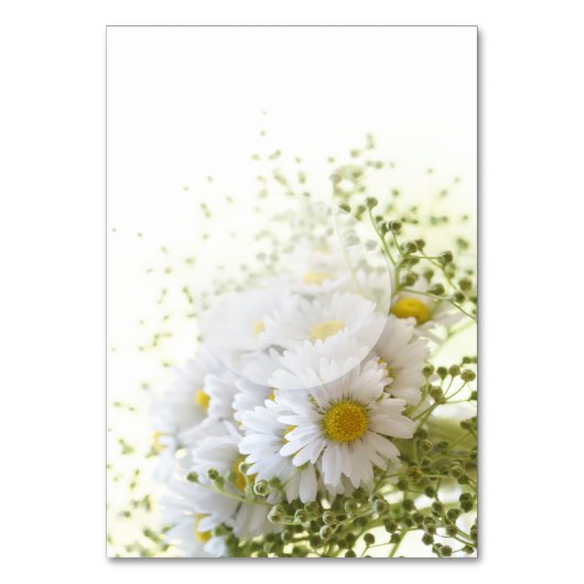 Daisées en Amour- Mariage Floral Numéro de table (Dos)