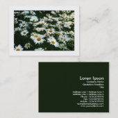 Daisées, Mini Carte photo (Devant / Derrière)