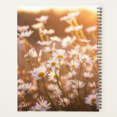 Daisées oculaires du coucher de soleil (Dos)