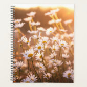 Daisées oculaires du coucher de soleil (Devant)