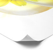 Daisées reflétées - Poster d'art (Coin)