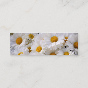 Daisies Abound [Skinny] Mini Visitekaartje