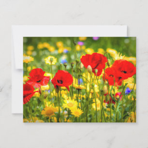 Daisies and Poppies Art Briefkaart