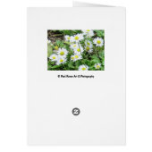 Daisies Birthday Kaart (Achterkant)