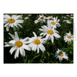 Daisies Blank Inside personaliseer Kaart