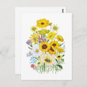 Daisies Briefkaart (Voorkant / Achterkant)