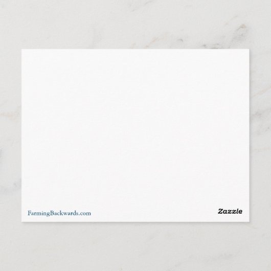 Daisies Briefkaart (Achterkant)