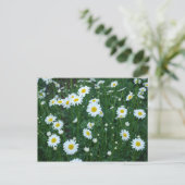Daisies Briefkaart (Staand voorkant)