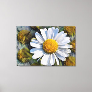 DAISIES CANVAS AFDRUK