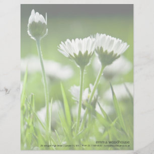 Daisies Custom Briefhoofd