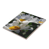 Daisies: Drie Witte Dagen Tegeltje (Zijkant)