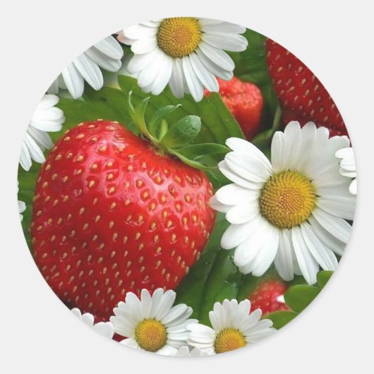 Daisies en aardbeien ronde sticker (Voorkant)