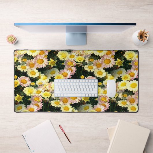 Daisies Galore...... (Bureau 1)