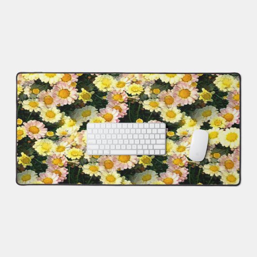 Daisies Galore...... (Clavier et souris)