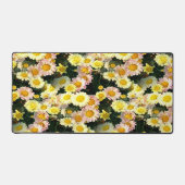 Daisies Galore...... (Recto)