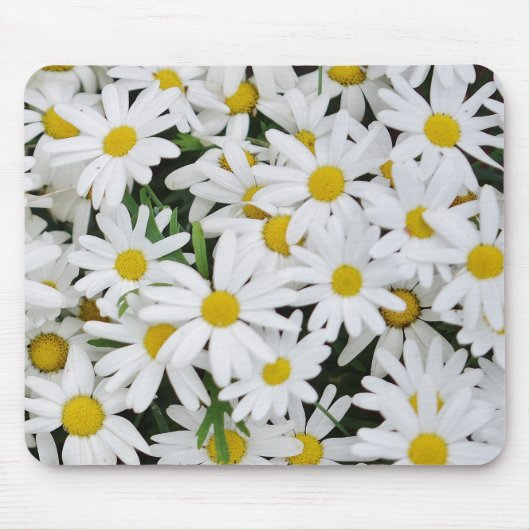 Daisies-gebied Muismat (Voorkant)