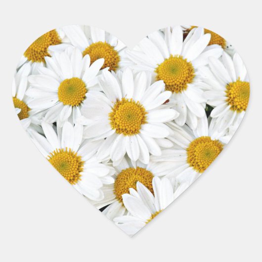 Daisies Hart Sticker (Voorkant)