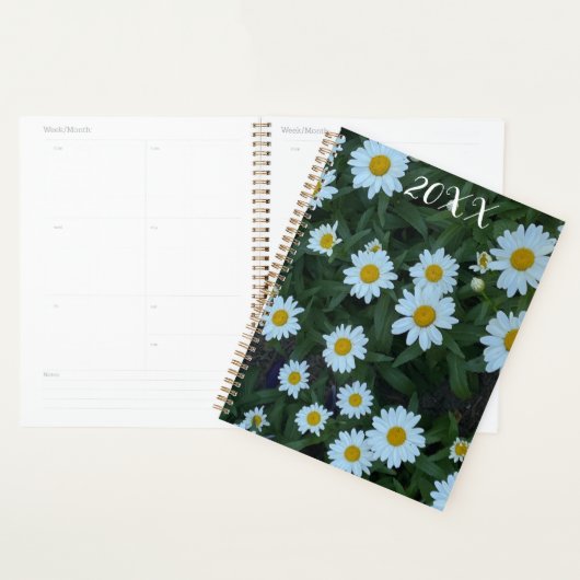Daisies In A Garden Planner (Display)