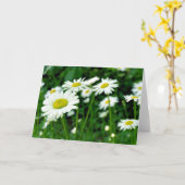 Daisies Kaart (Gele Bloem)