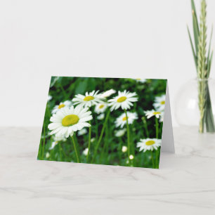 Daisies Kaart