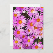 DAISIES KAART (Voorkant / Achterkant)