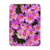 DAISIES MAGNEET (Verticaal)