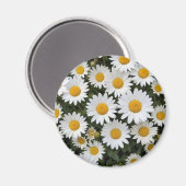 Daisies Magnet Magneet (Voorkant / Achterkant)